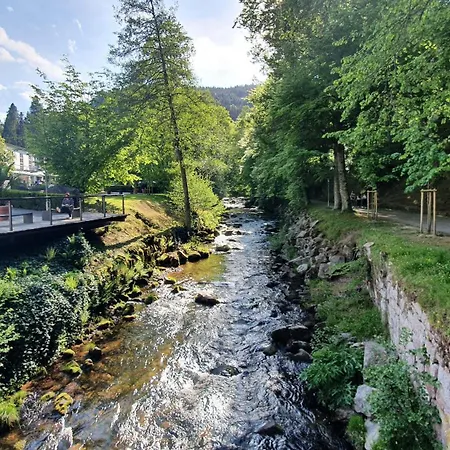 Apartman Kuckucksnest Bad Wildbad