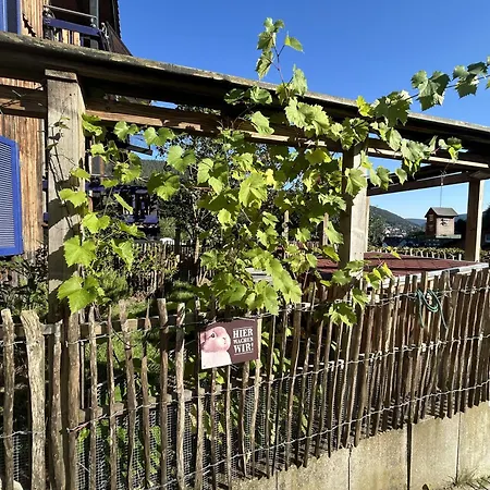 Kuckucksnest Bad Wildbad